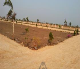    Residential Plot for sale in guntur Hyderabad