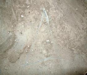  2 BHK  Apartment for sale in  Kolkata