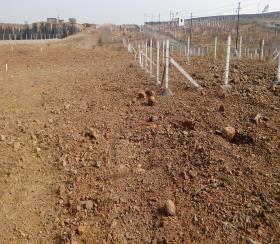    Residential Plot for sale in STAR CITY Pune