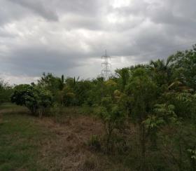    Residential Plot for sale in holiday city Chennai