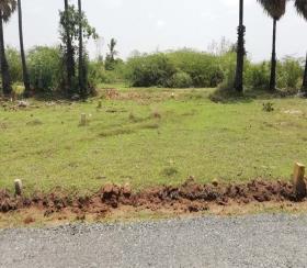    Residential Plot for sale in Metro IT Avenue Chennai