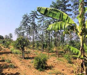   Residential Plot for sale in EG Hyderabad