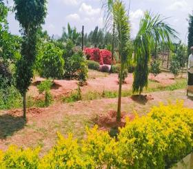    Residential Plot for sale in  Bangalore