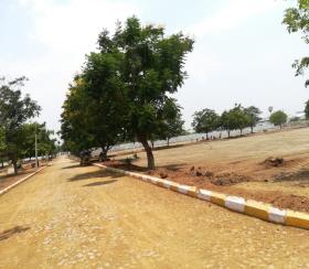    Residential Plot for sale in spring city Hyderabad