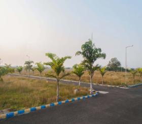    Residential Plot for sale in Alliance Group Villa Belvedere Chennai
