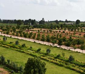   Residential Plot for sale in fortune butterfly city Hyderabad