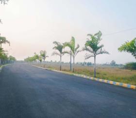    Residential Plot for sale in Alliance Group Villa Belvedre Chennai
