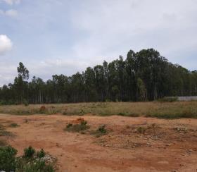    Residential Plot for sale in kshathrya Bangalore