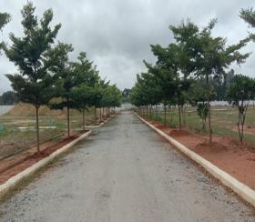    Residential Plot for sale in vensai temple tree Bangalore