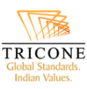 Tricone Projects India Ltd