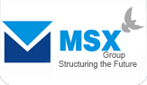   MSX Group