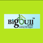 Big Bull Infrastructure
