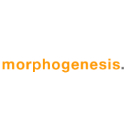 Morphogenesis