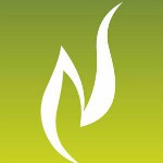Nambiar Builders Pvt Ltd logo