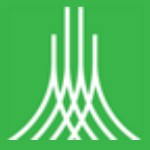 Apex Realty