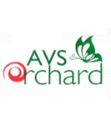 AVS Orchard  Pvt Ltd 