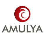   Amulya Construction
