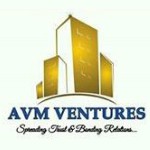 AVM Ventures