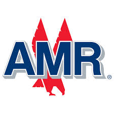   AMR Infrastructure Limited