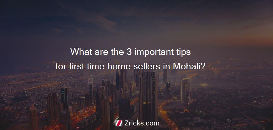 What are the 3 important tips for first time home sellers in Mohali?