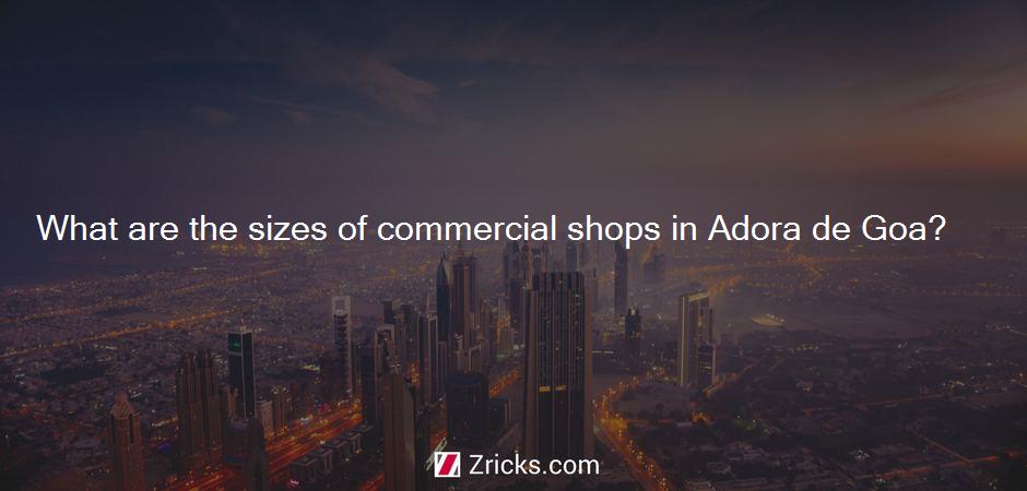 What are the sizes of commercial shops in Adora de Goa?