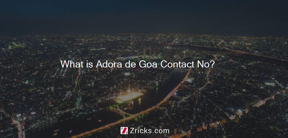 What is Adora de Goa Contact No?