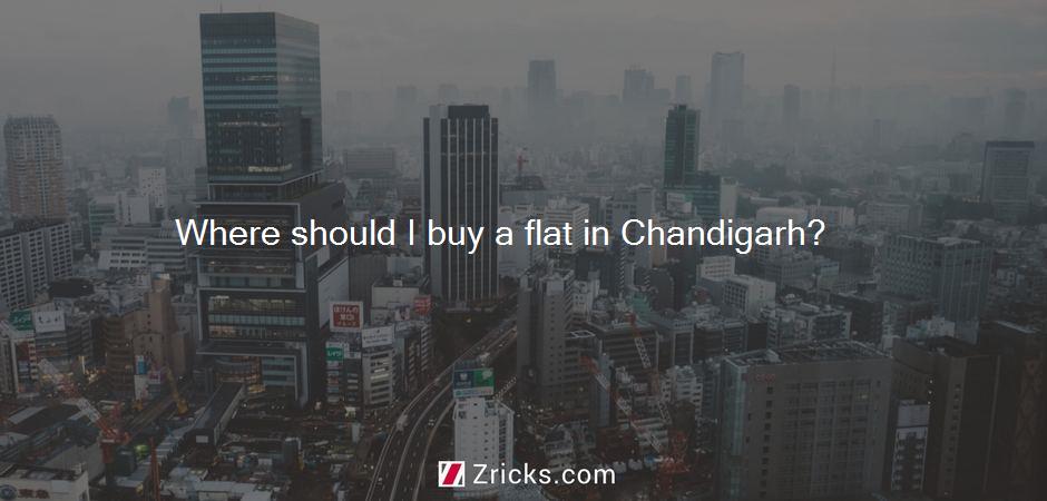 Where should I buy a flat in Chandigarh?