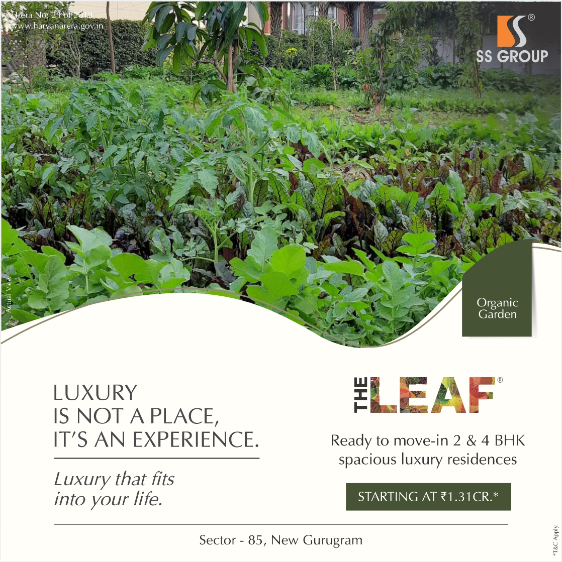 The organic garden at SS The Leaf, Dwarka Expressway, Gurgaon Update