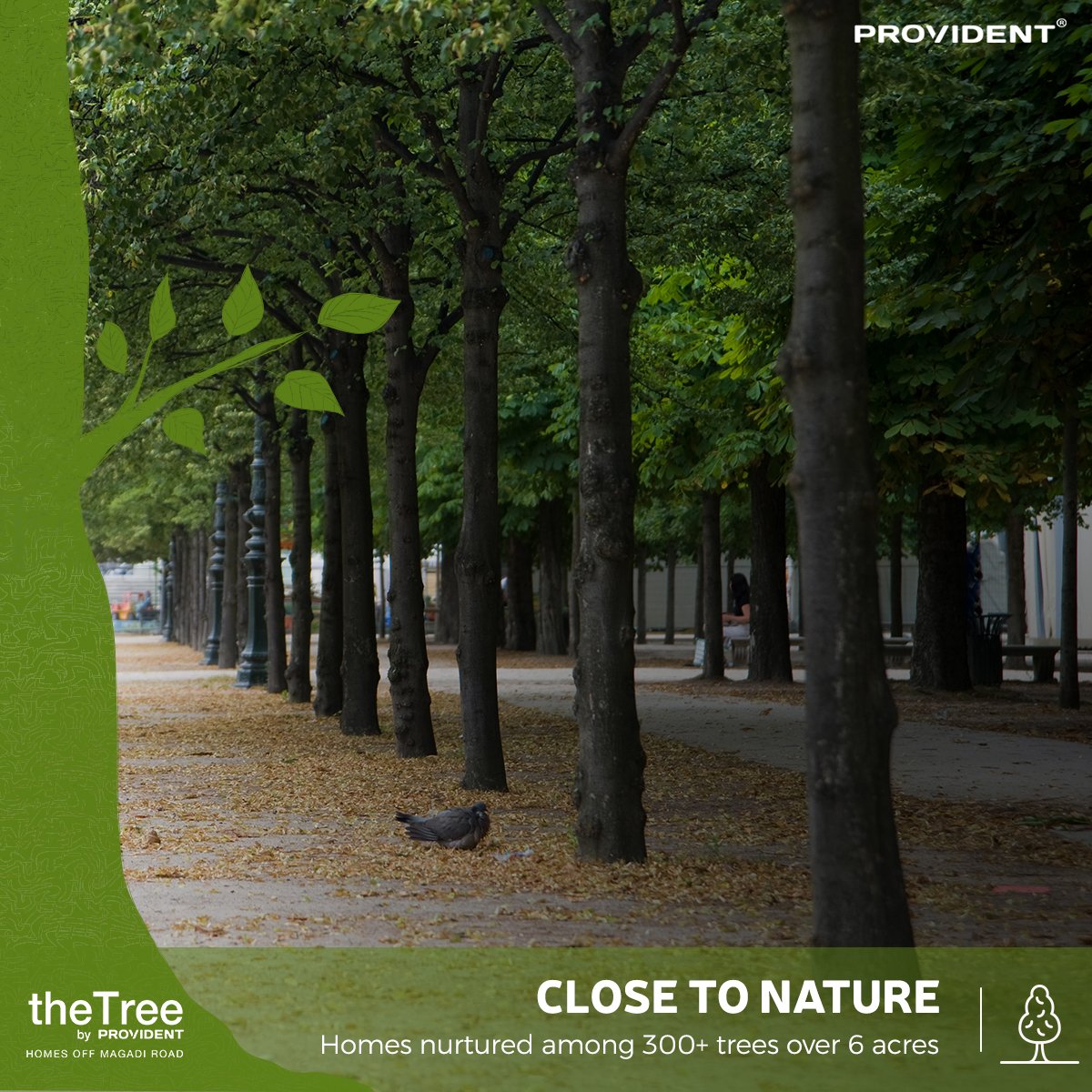 Homes nurtured amidst 300 plus trees spread over 6 acres at Provident The Tree Update