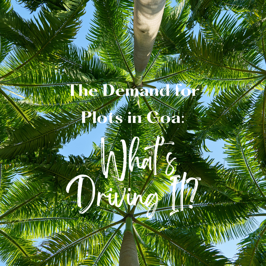 The Demand for Plots in Goa: What’s Driving It? Update