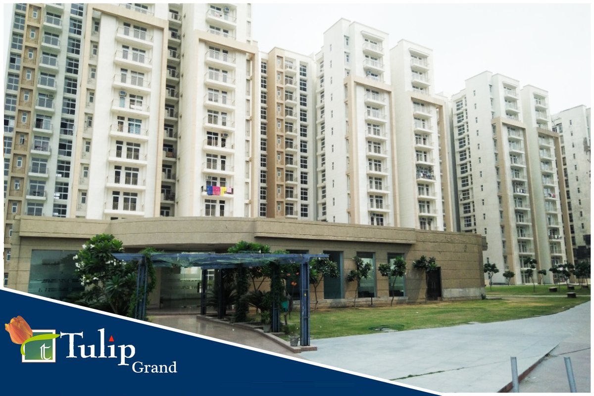 Book 2, 3 & 4 bhk homes & penthouses at Tulip Grand in Sonipat Update