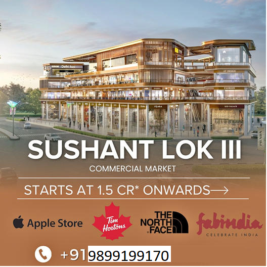 Sushant Lok III: The New Epicenter of Commercial Excellence in Gurugram Update