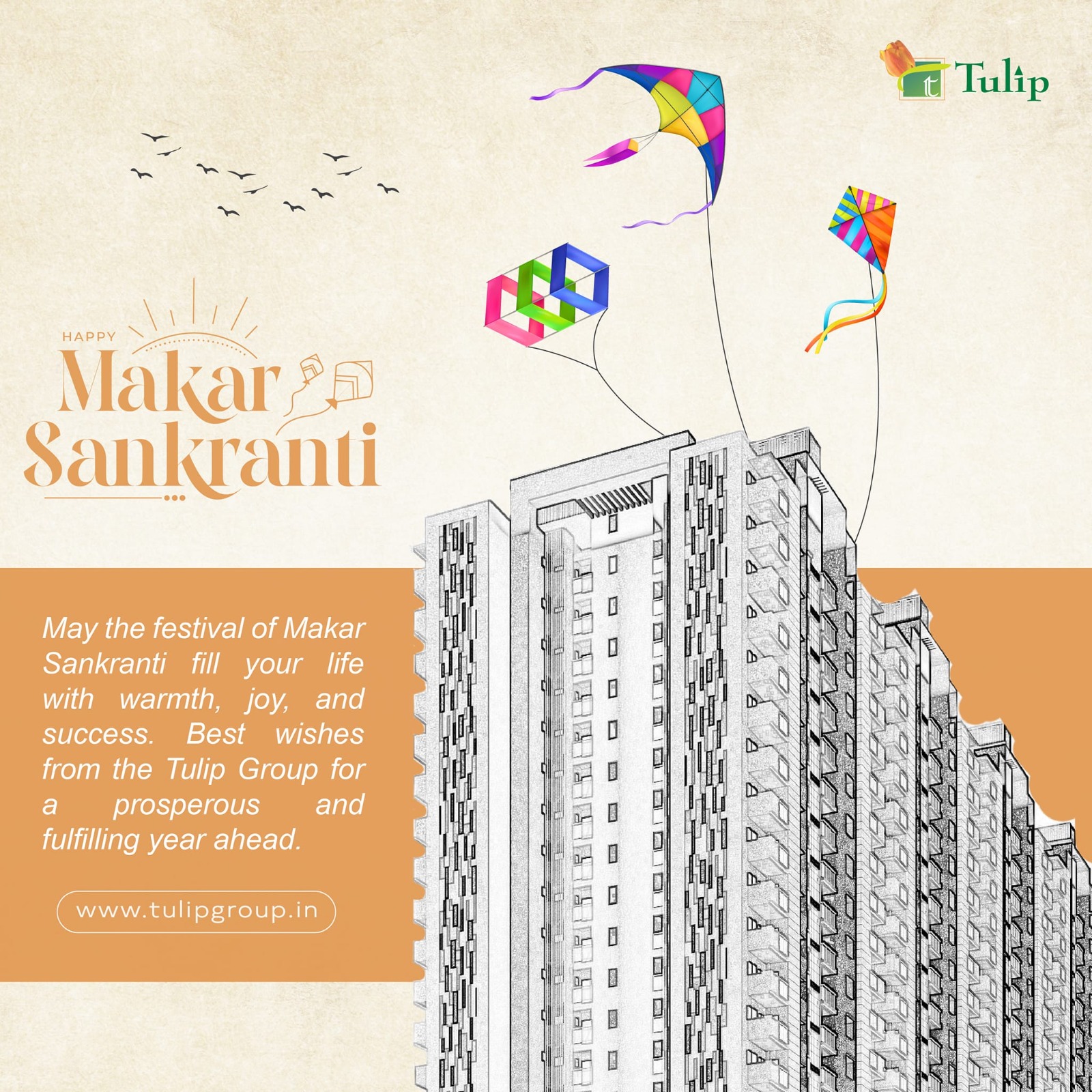 Tulip Group Spreads Joy and Warmth this Makar Sankranti Update