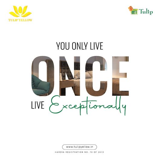 Seize Life's Exceptional Moments at Tulip Yellow, Where Elegance Resides in Every Detail Update