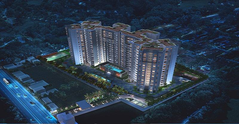 Welcome to DNR Atmosphere the place amid of urbanity and nature Update